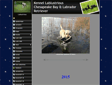 Tablet Screenshot of lablustrious.com